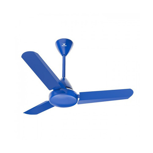 Walton Ceiling Fan 36"  Tulip